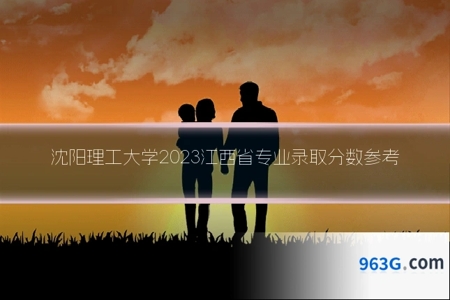 沈阳理工大学2023江西省专业录取分数参考