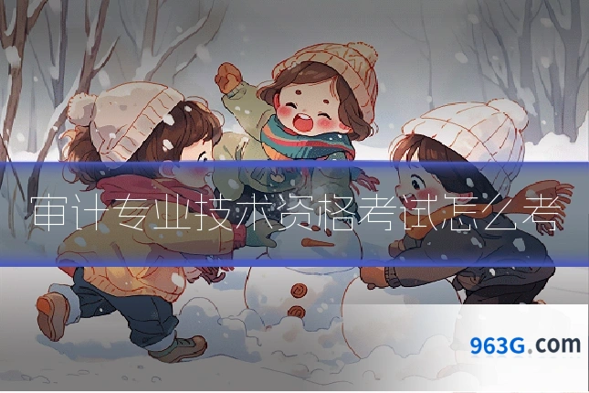 审计专业技术资格考试怎么考