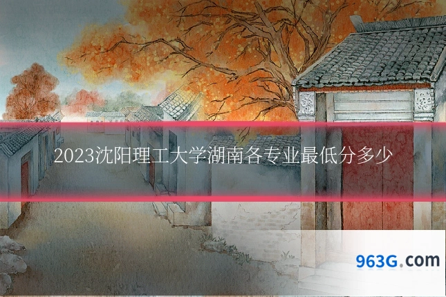 2023沈阳理工大学湖南各专业最低分多少