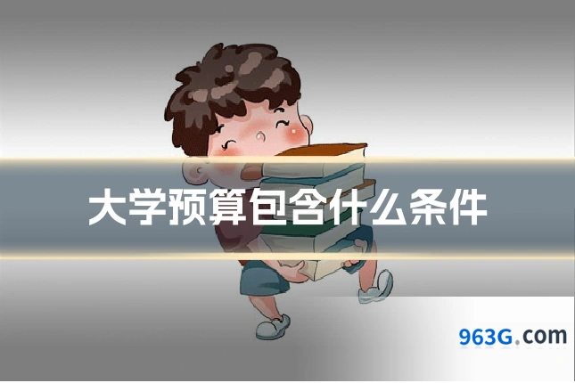 大学预算包含什么条件