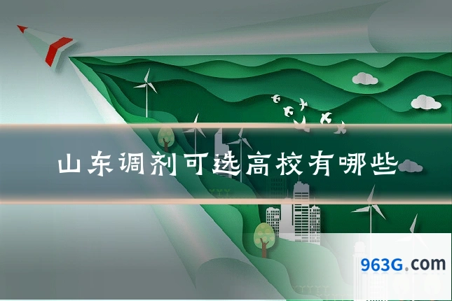 山东调剂可选高校有哪些
