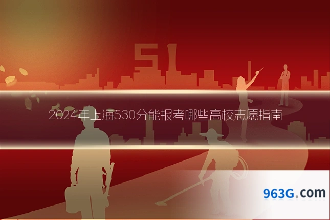 2024年上海530分能报考哪些高校志愿指南