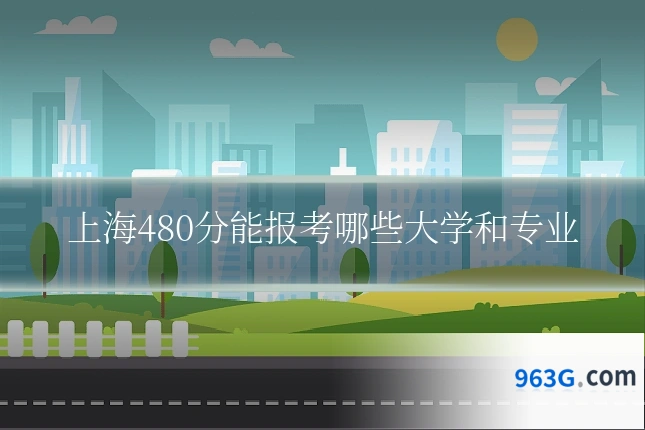 上海480分能报考哪些大学和专业