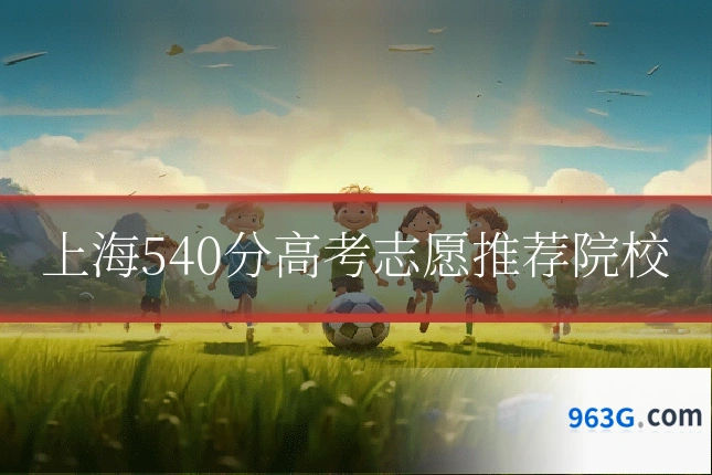 上海540分高考志愿推荐院校