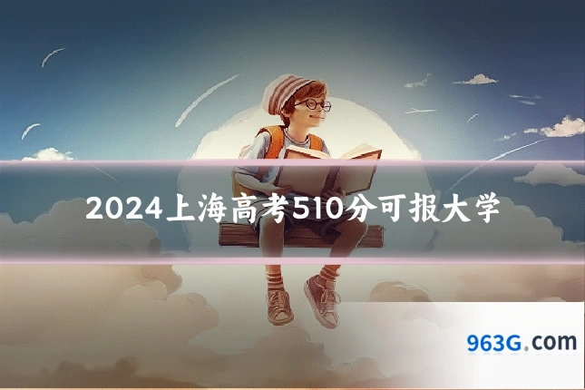 2024上海高考510分可报大学