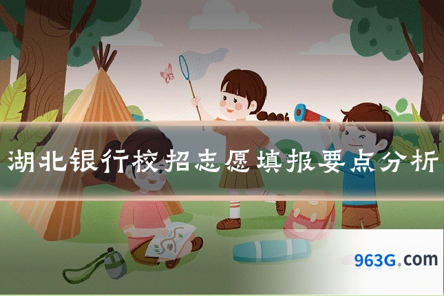 湖北银行校招志愿填报要点分析