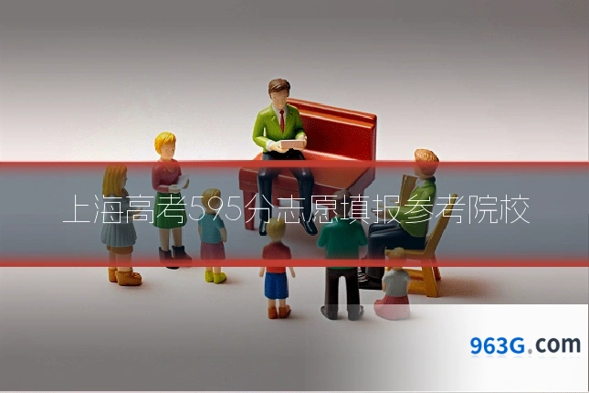 上海高考595分志愿填报参考院校
