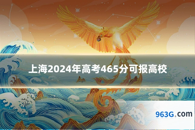 上海2024年高考465分可报高校