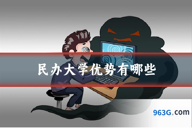 民办大学优势有哪些