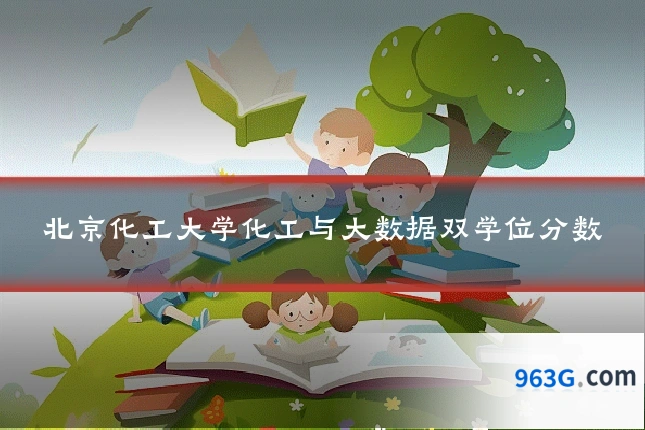 北京化工大学化工与大数据双学位分数