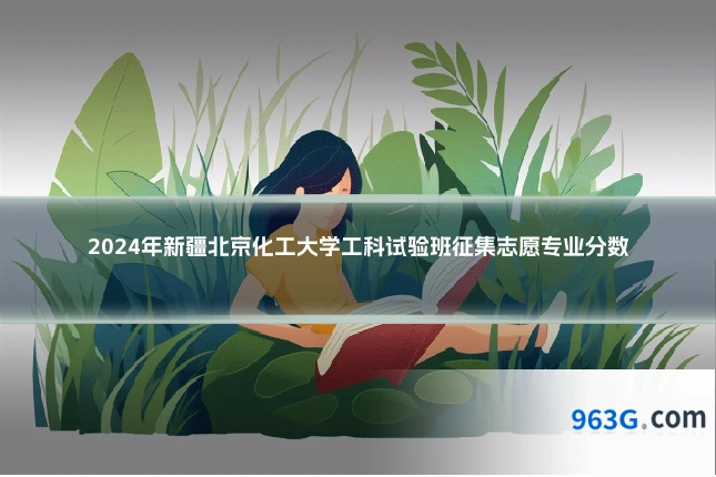 2024年新疆北京化工大学工科试验班征集志愿专业分数