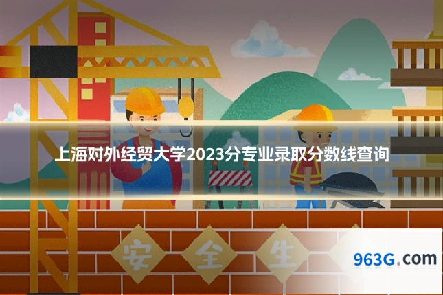 上海对外经贸大学2023分专业录取分数线查询