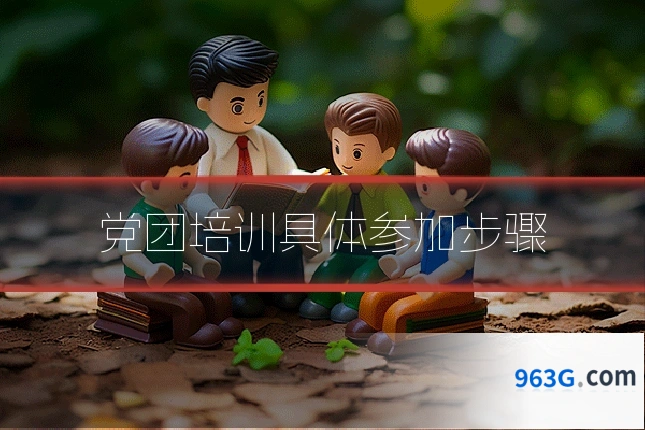 党团培训具体参加步骤