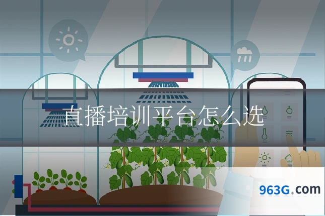 直播培训平台怎么选