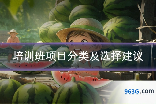 培训班项目分类及选择建议
