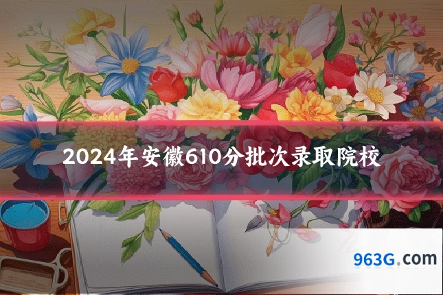 2024年安徽610分批次录取院校