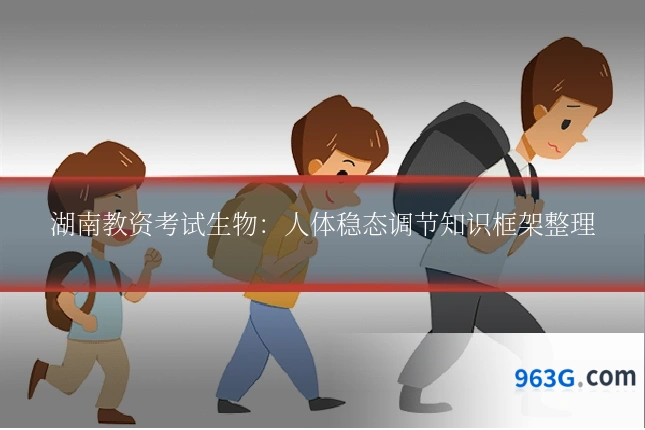 湖南教资考试生物：人体稳态调节知识框架整理