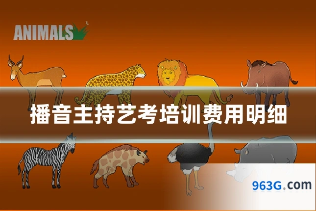播音主持艺考培训费用明细