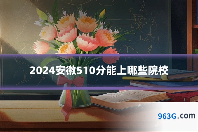 2024安徽510分能上哪些院校
