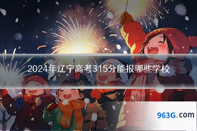 2024年辽宁高考315分能报哪些学校