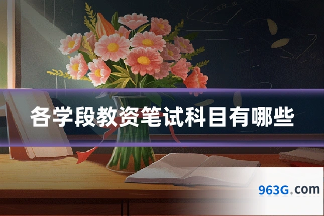 各学段教资笔试科目有哪些