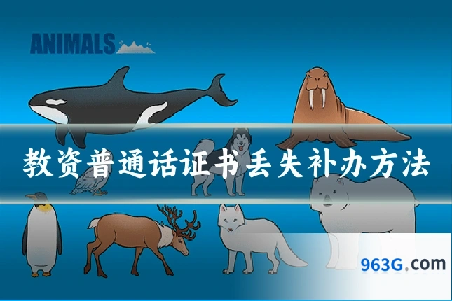 教资普通话证书丢失补办方法
