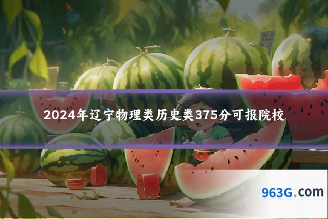 2024年辽宁物理类历史类375分可报院校