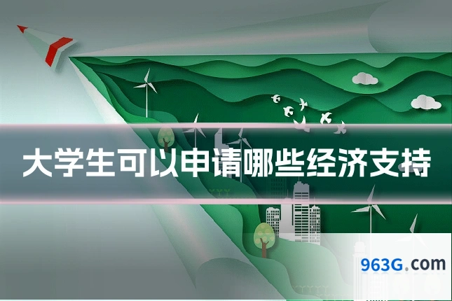 大学生可以申请哪些经济支持