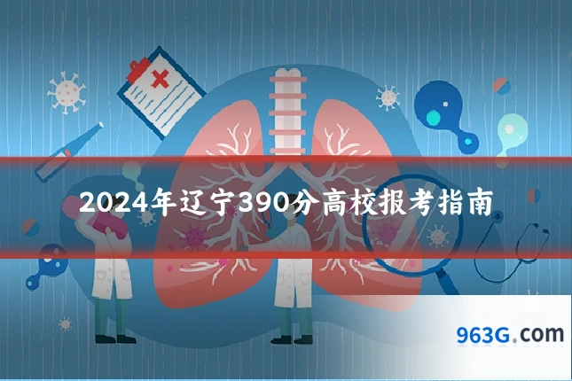 2024年辽宁390分高校报考指南