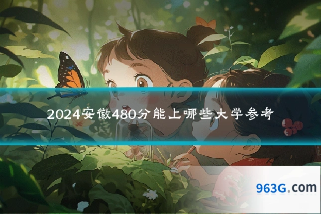 2024安徽480分能上哪些大学参考