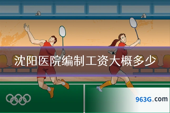 沈阳医院编制工资大概多少