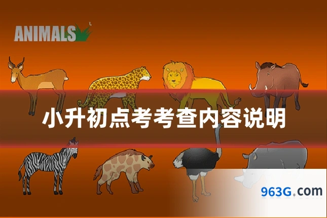 小升初点考考查内容说明
