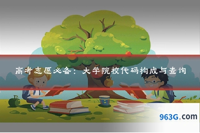 高考志愿必备：大学院校代码构成与查询