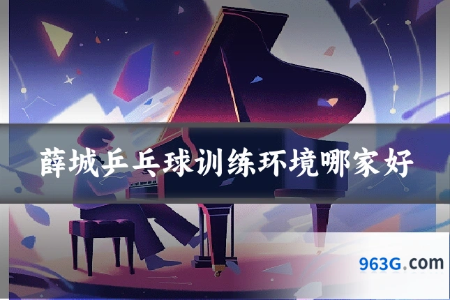 薛城乒乓球训练环境哪家好