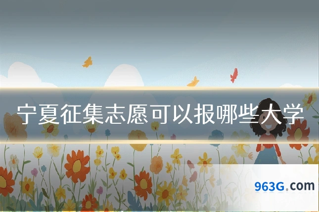 宁夏征集志愿可以报哪些大学
