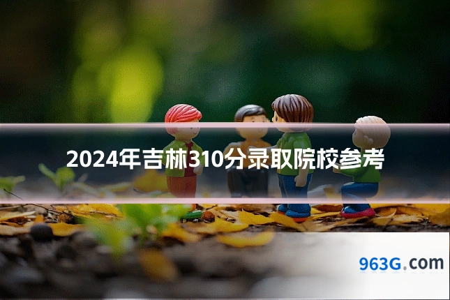 2024年吉林310分录取院校参考