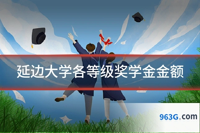 延边大学各等级奖学金金额