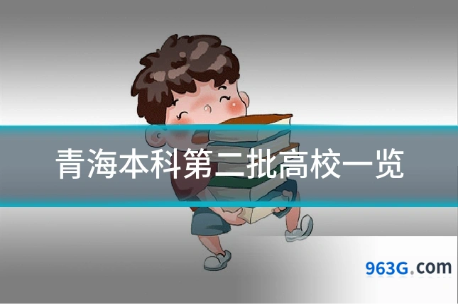 青海本科第二批高校一览