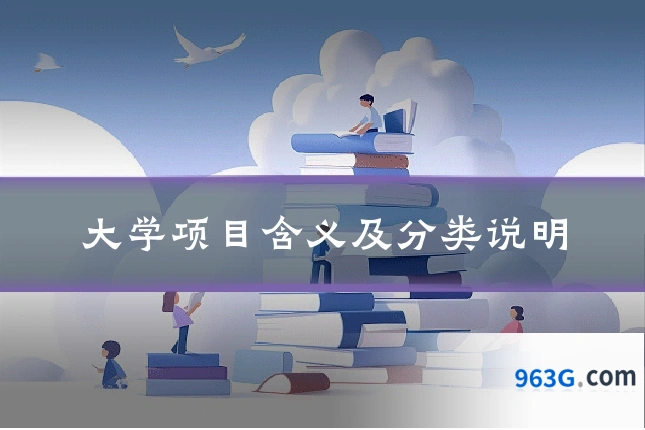 大学项目含义及分类说明