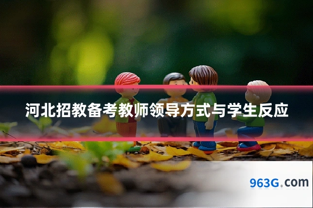 河北招教备考教师领导方式与学生反应