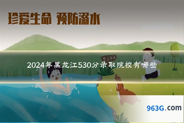 2024年黑龙江530分录取院校有哪些