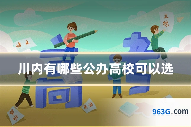 川内有哪些公办高校可以选