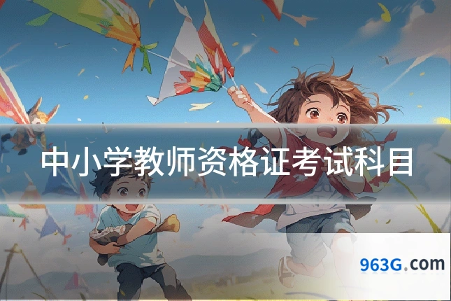 中小学教师资格证考试科目
