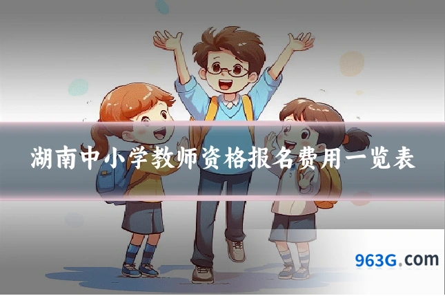 湖南中小学教师资格报名费用一览表