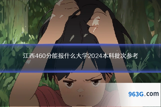 江西460分能报什么大学2024本科批次参考