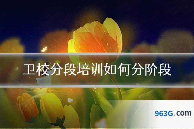 卫校分段培训如何分阶段