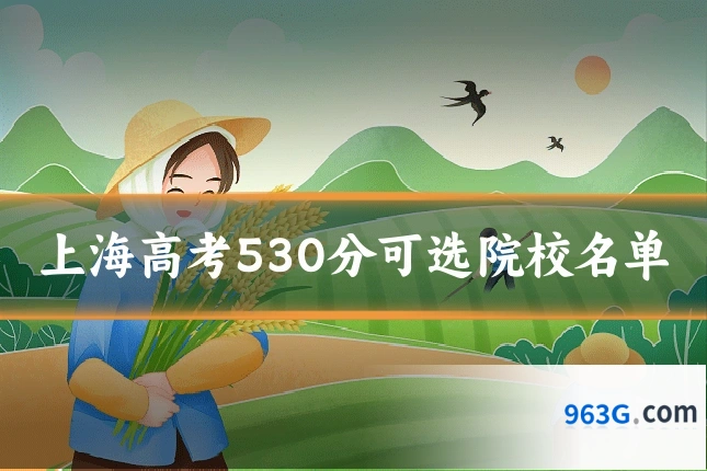 上海高考530分可选院校名单
