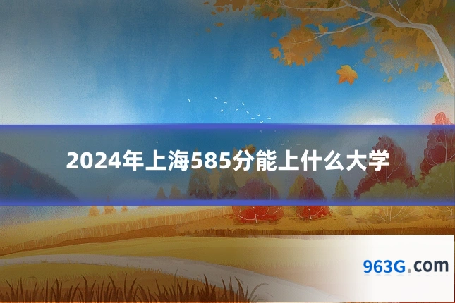 2024年上海585分能上什么大学