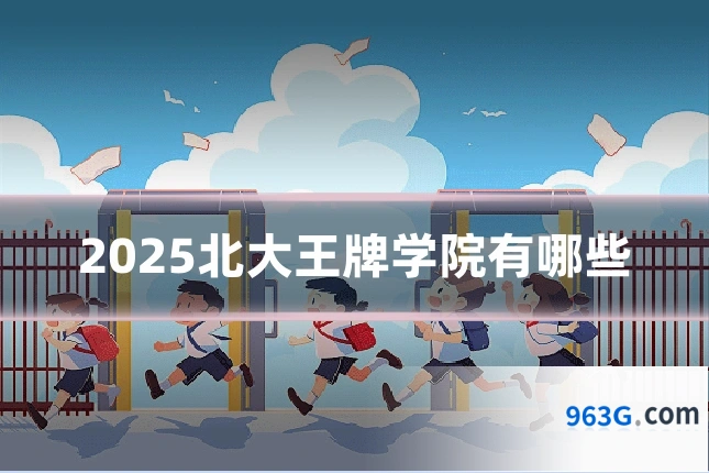 2025北大王牌学院有哪些