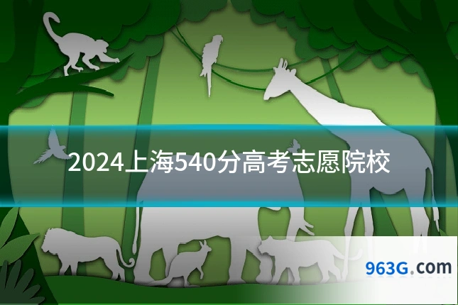 2024上海540分高考志愿院校